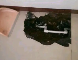 都安卫生间测漏水多少钱